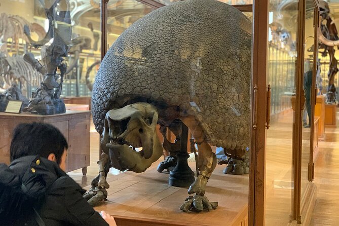 Washington DC Museum of Natural History Private Family tour - What the tour does not include