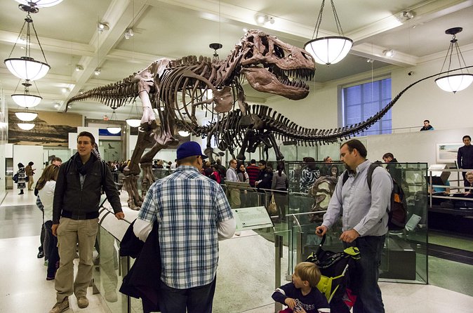 Washington DC Museum of Natural History Private Family tour - How the experience has performed for different visitors