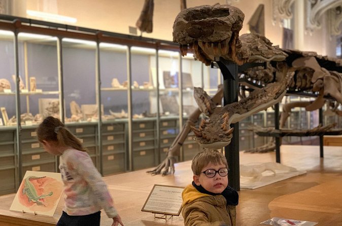 Washington DC Museum of Natural History Private Family tour - Who should book this Washington DC museum tour