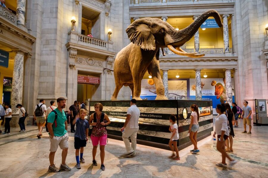 Washington DC: Museum of Natural History Private Guided Tour - Starting at 10th Street and Constitution Avenue