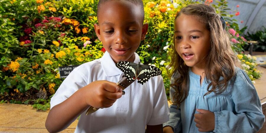 Washington DC: Museum of Natural History Private Guided Tour - A two-hour route built around your family