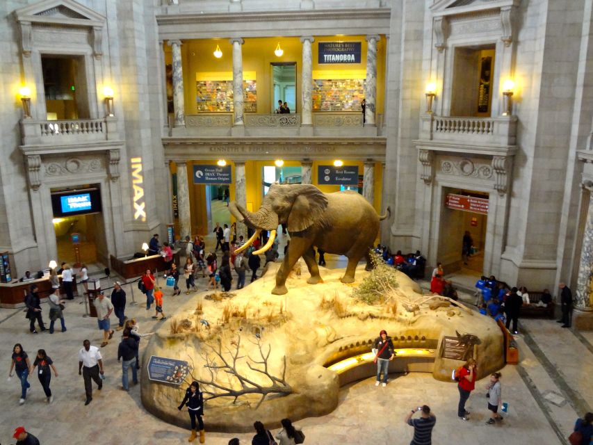 Washington DC: Museum of Natural History Private Guided Tour - Should you book it?
