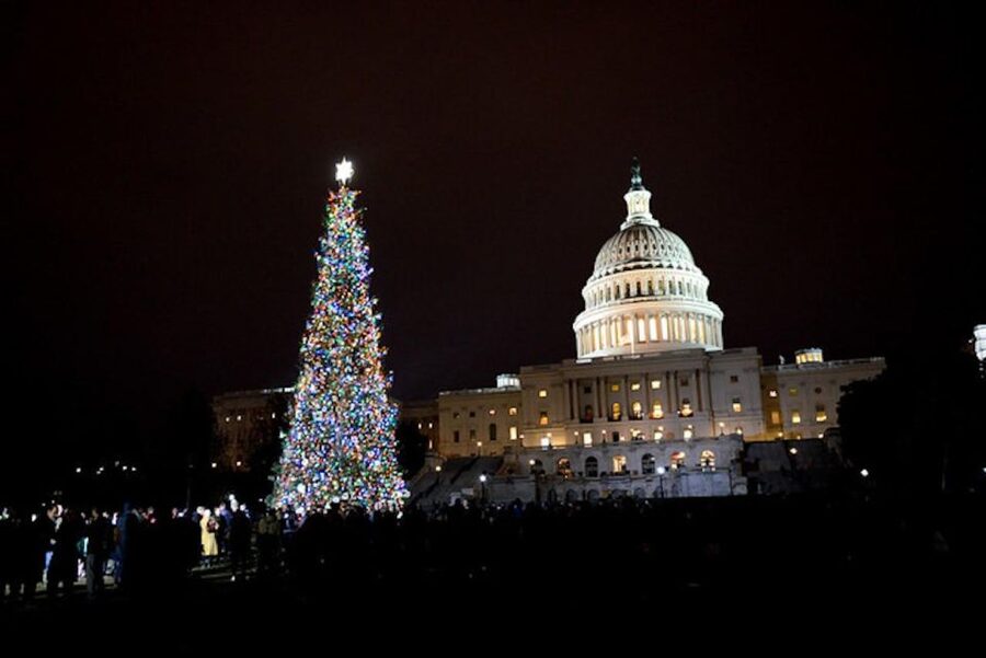 Washington, DC: National Mall and Memorials Moonlight Tour - Why Washington looks better after sunset
