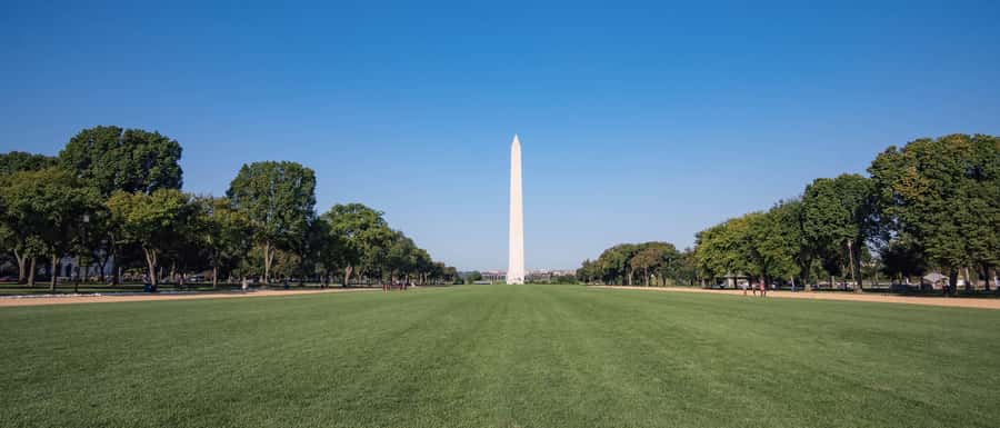 Washington DC: National Mall Walking Tour - What the guide adds, and where the experience can slip