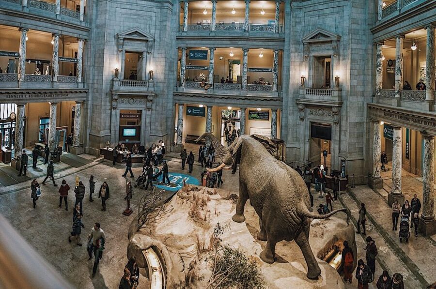 Washington DC: National Museum of Natural History Tour - Who should book this Natural History Museum tour?