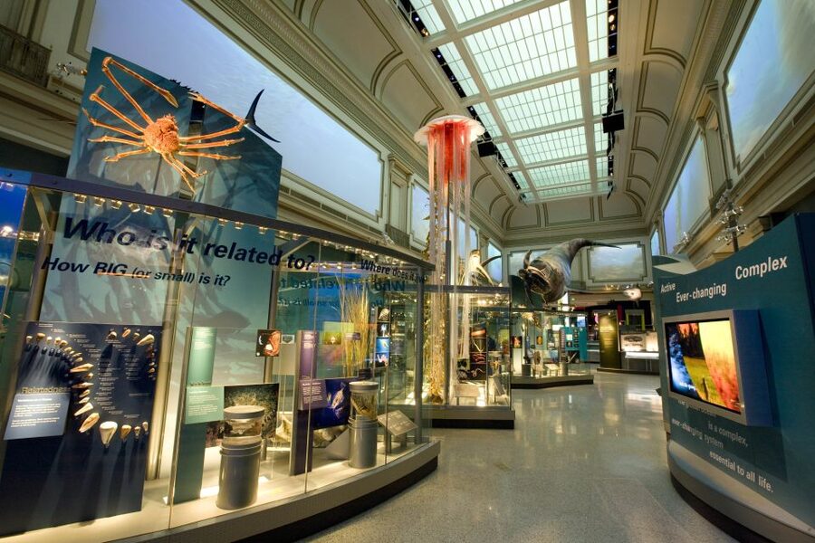 Washington DC: National Museum of Natural History Tour - Practical details that can affect your day