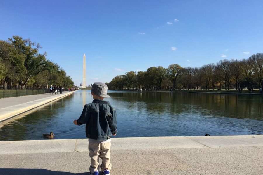 Washington, DC: Private National Mall Walking Tour - Seeing the Mall as a connected story