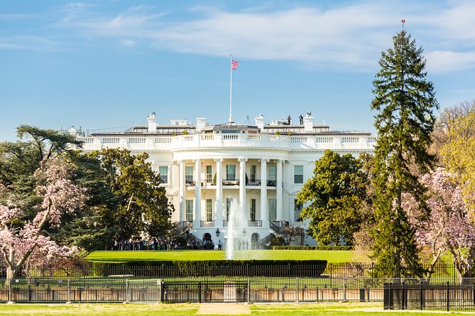 Washington DC Sight Seeing Private Tour-English or Spanish Option - When this tour makes sense for you