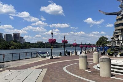 Washington’s Hidden Gems Food Tour with 6+ Tasty Bites